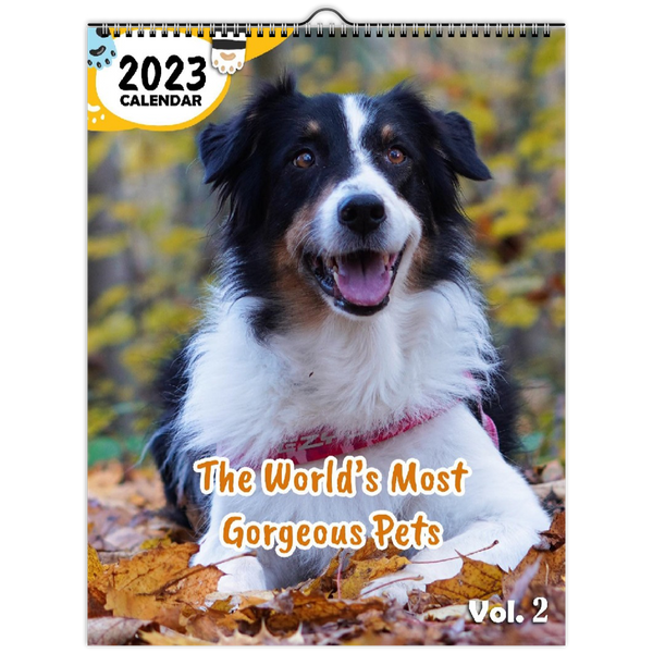The World's Most Gorgeous Pets Volume Two: 2023 Wall Calendar
