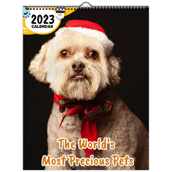The World's Most Precious Pets: 2023 Wall Calendar