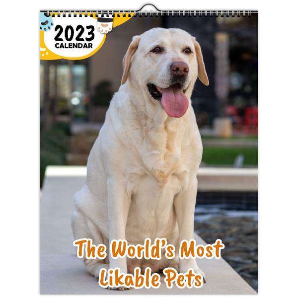 The World's Most Likable Pets: 2023 Wall Calendar