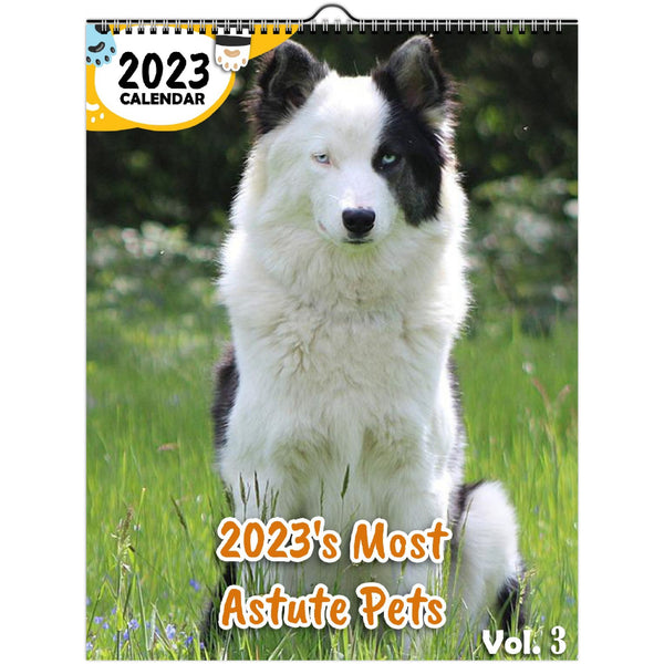 2023's Most Astute Pets Volume Three: 2023 Wall Calendar