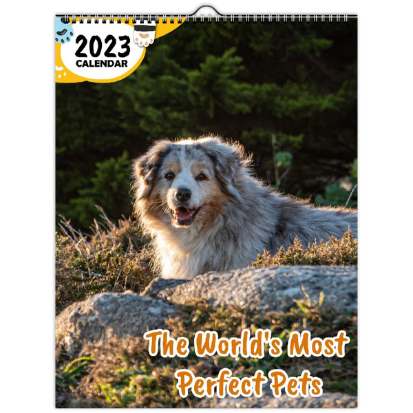 The World's Most Perfect Pets: 2023 Wall Calendar