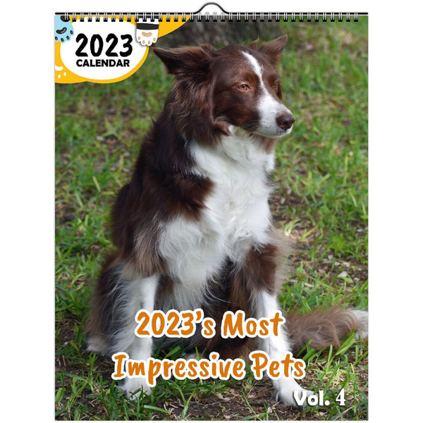 2023's Most Impressive Pets Volume Four: 2023 Wall Calendar