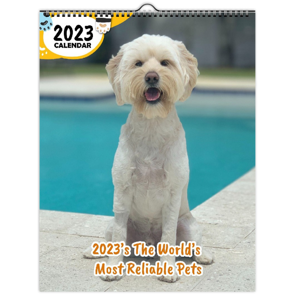 2023's The World's Most Reliable Pets: 2023 Wall Calendar
