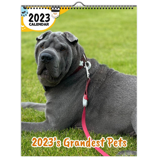 2023's Grandest Pets: 2023 Wall Calendar
