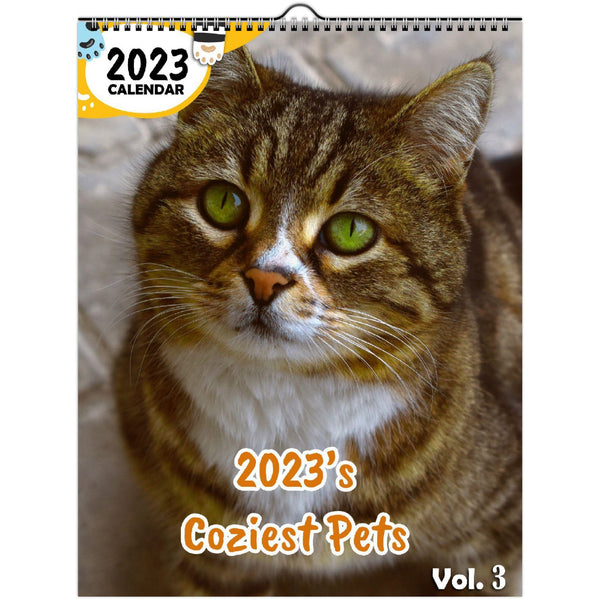 2023's Coziest Pets Volume Three: 2023 Wall Calendar