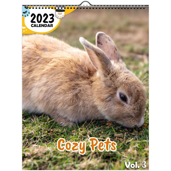 Cozy Pets Volume Three: 2023 Wall Calendar