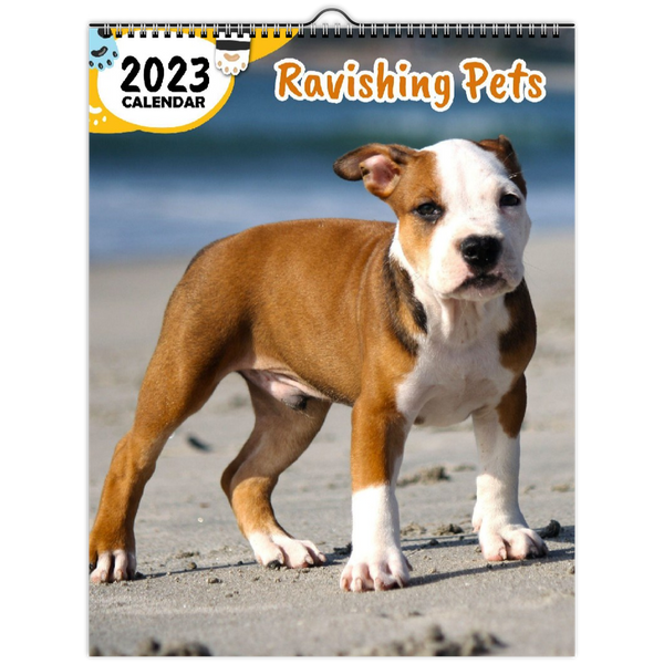 Ravishing Pets: 2023 Wall Calendar