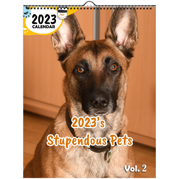 2023's Stupendous Pets Volume Two: 2023 Wall Calendar
