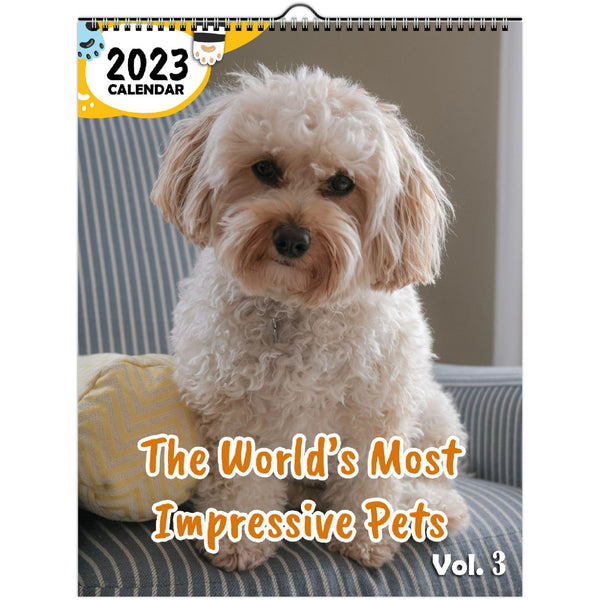 The World's Most Impressive Pets Volume Three: 2023 Wall Calendar