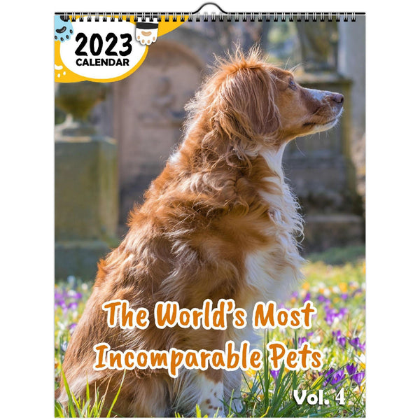 The World's Most Incomparable Pets Volume Four: 2023 Wall Calendar