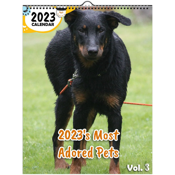 2023's Most Adored Pets Volume Three: 2023 Wall Calendar