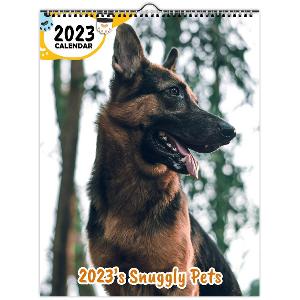 2023's Snuggly Pets: 2023 Wall Calendar
