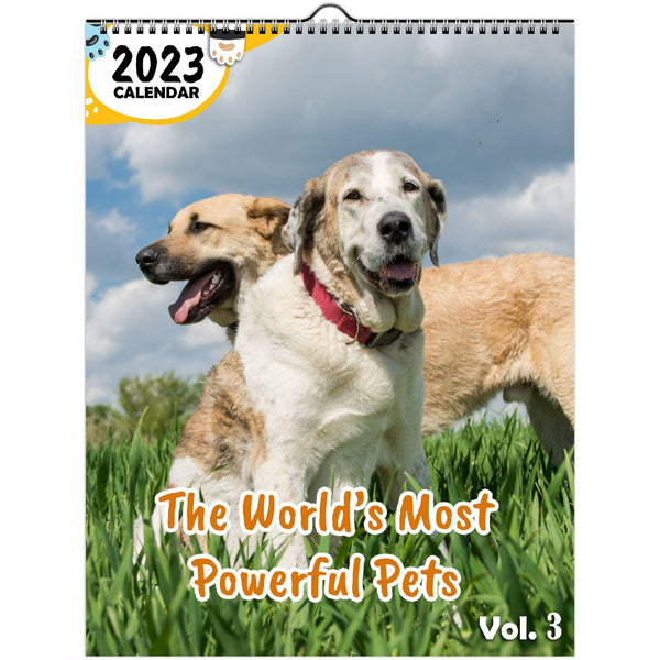 The World's Most Powerful Pets Volume Three: 2023 Wall Calendar