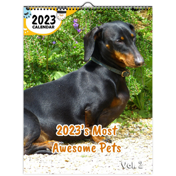 2023's Most Awesome Pets Volume Two: 2023 Wall Calendar