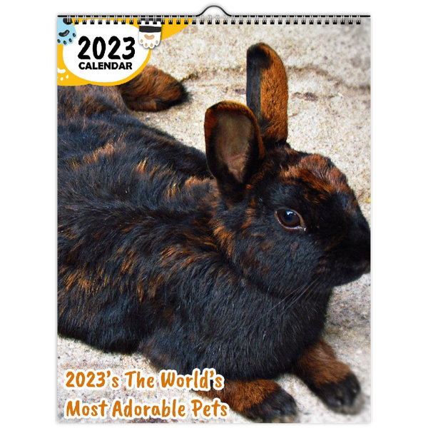 2023's The World's Most Adorable Pets: 2023 Wall Calendar