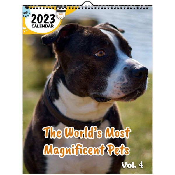 The World's Most Magnificent Pets Volume Four: 2023 Wall Calendar