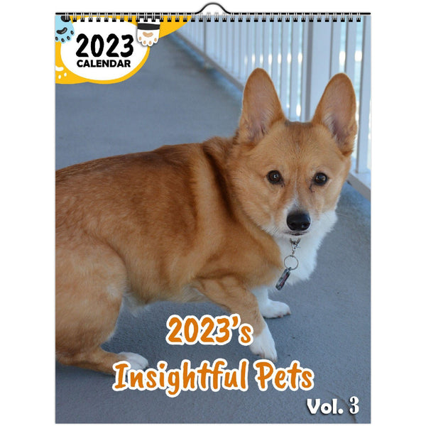 2023's Insightful Pets Volume Three: 2023 Wall Calendar