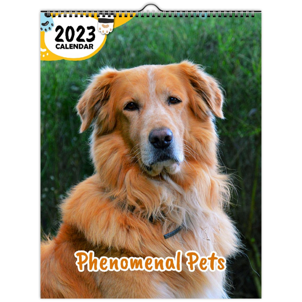 Phenomenal Pets: 2023 Wall Calendar