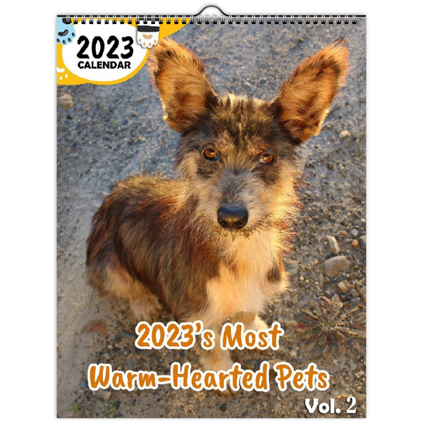 2023's Most Warm-Hearted Pets Volume Two: 2023 Wall Calendar