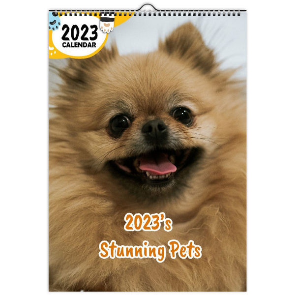 2023's Stunning Pets: 2023 Wall Calendar