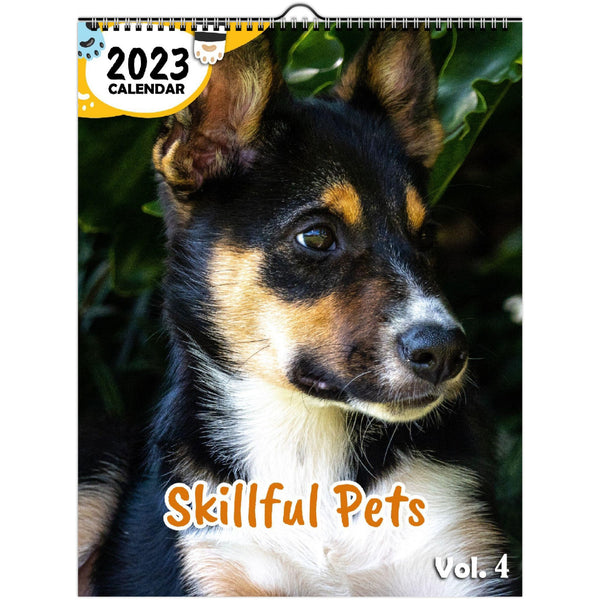 Skillful Pets Volume Four: 2023 Wall Calendar