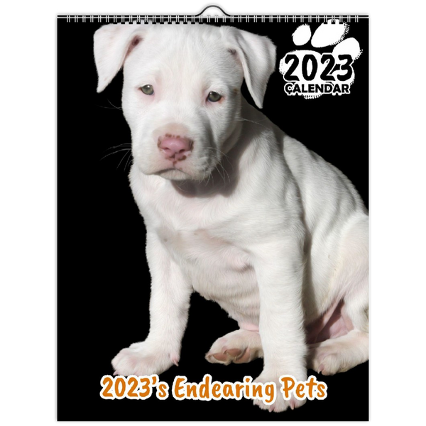 2023's Endearing Pets: 2023 Wall Calendar