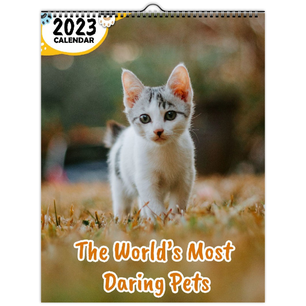 The World's Most Daring Pets: 2023 Wall Calendar