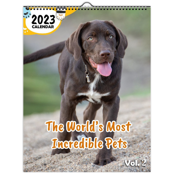 The World's Most Incredible Pets Volume Two: 2023 Wall Calendar