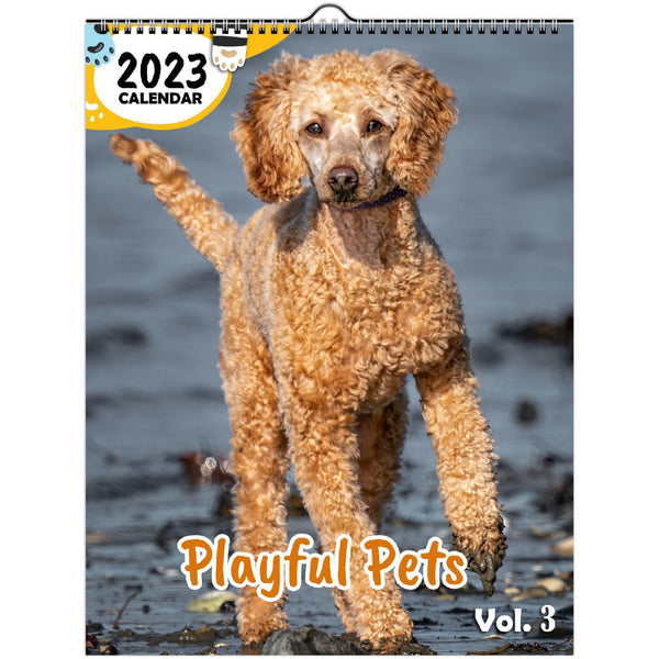 Playful Pets Volume Three: 2023 Wall Calendar