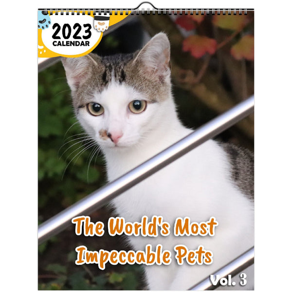 The World's Most Impeccable Pets Volume Three: 2023 Wall Calendar