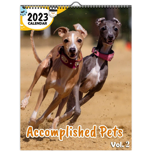 Accomplished Pets Volume Two: 2023 Wall Calendar