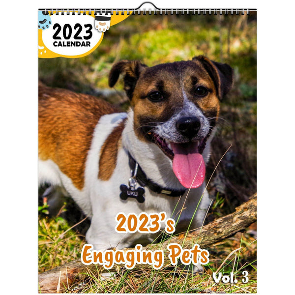 2023's Engaging Pets Volume Three: 2023 Wall Calendar
