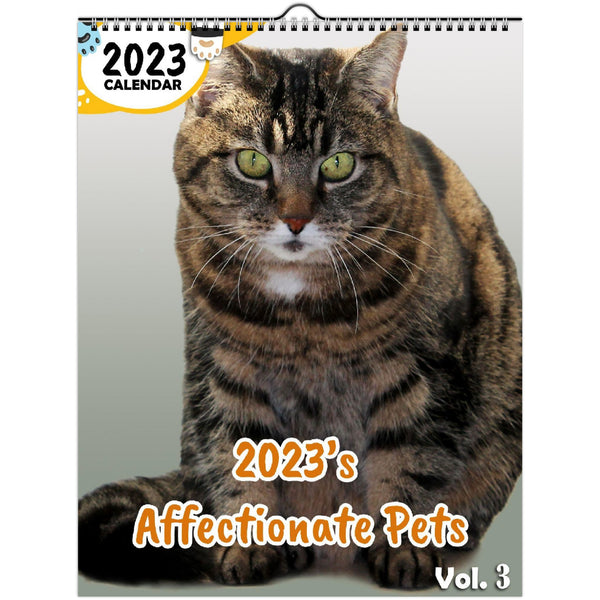 2023's Affectionate Pets Volume Three: 2023 Wall Calendar