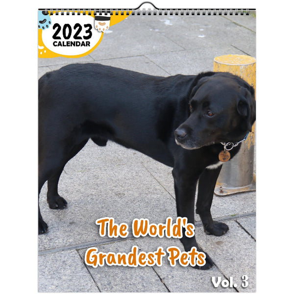 The World's Grandest Pets Volume Three: 2023 Wall Calendar