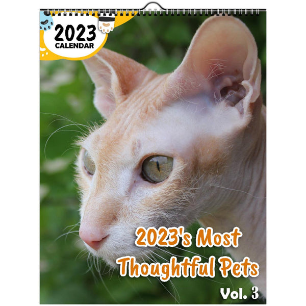 2023's Most Thoughtful Pets Volume Three: 2023 Wall Calendar