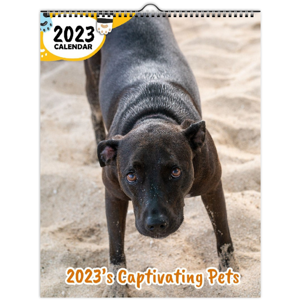 2023's Captivating Pets: 2023 Wall Calendar