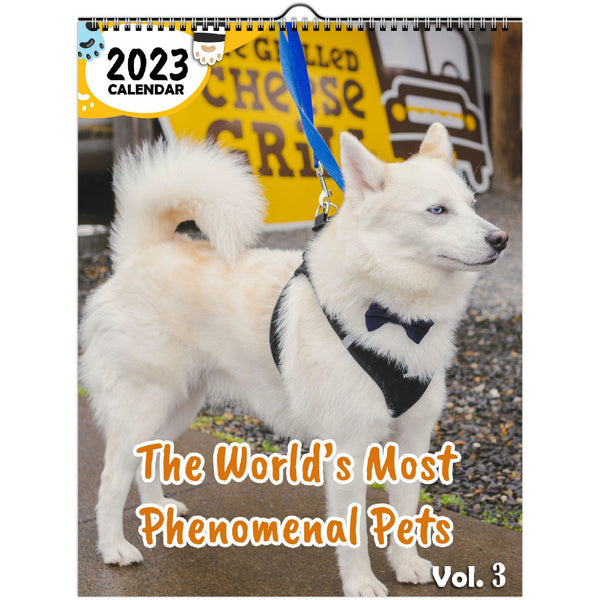 The World's Most Phenomenal Pets Volume Three: 2023 Wall Calendar
