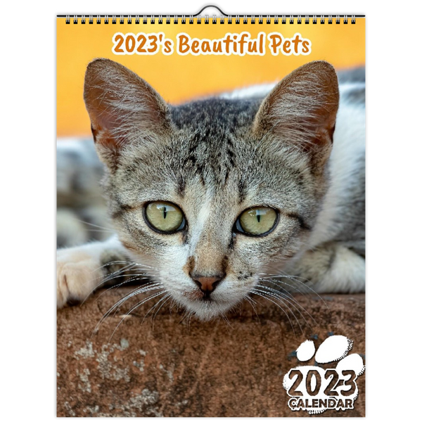 2023's Beautiful Pets: 2023 Wall Calendar