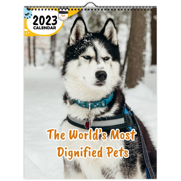 The World's Most Dignified Pets: 2023 Wall Calendar