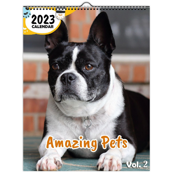 Amazing Pets Volume Two: 2023 Wall Calendar