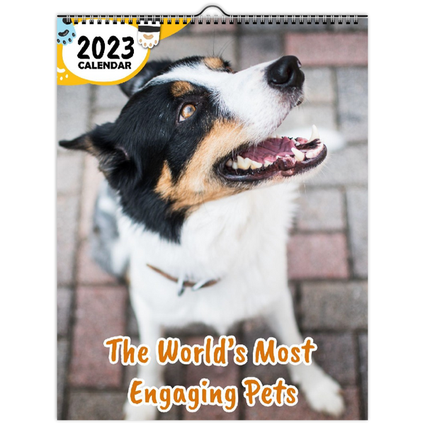 The World's Most Engaging Pets: 2023 Wall Calendar