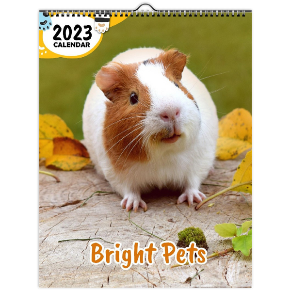 Bright Pets: 2023 Wall Calendar