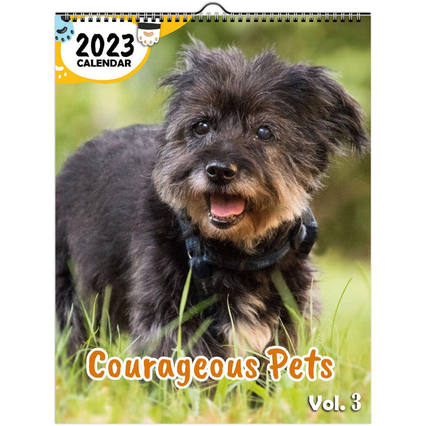Courageous Pets Volume Three: 2023 Wall Calendar