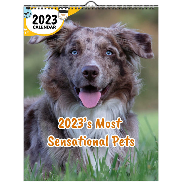 2023's Most Sensational Pets: 2023 Wall Calendar