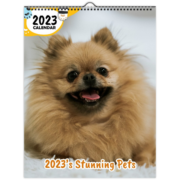 2023's Stunning Pets: 2023 Wall Calendar