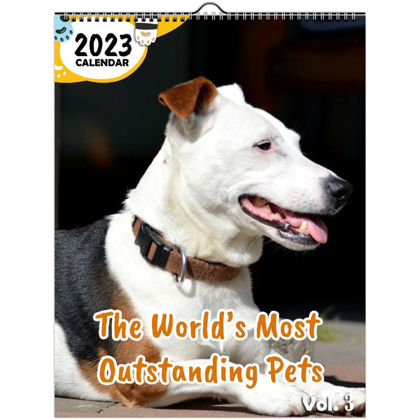 The World's Most Outstanding Pets Volume Three: 2023 Wall Calendar