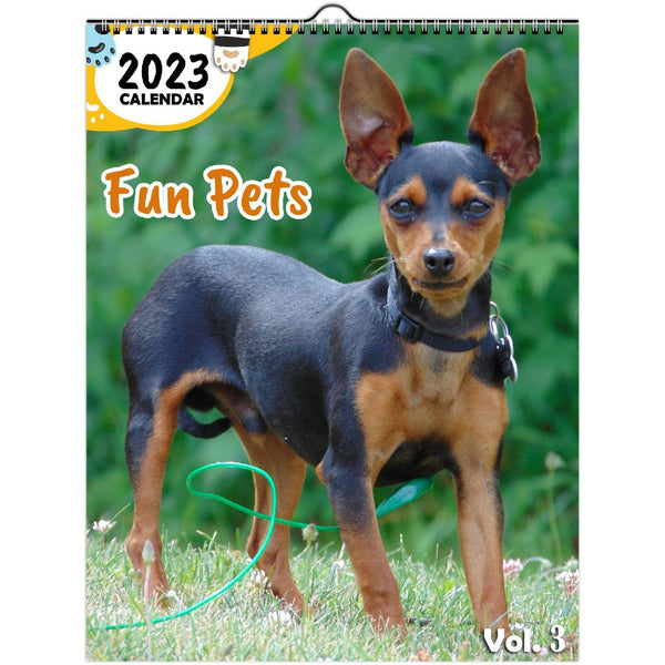 Fun Pets Volume Three: 2023 Wall Calendar