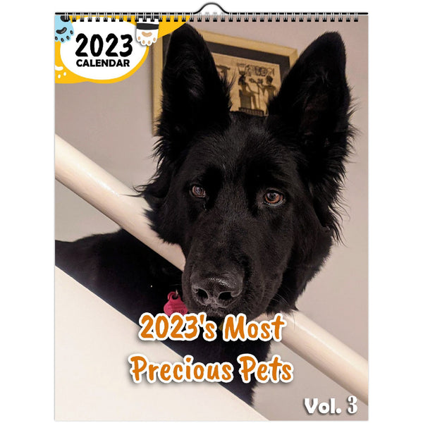 2023's Most Precious Pets Volume Three: 2023 Wall Calendar