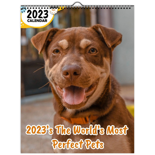 2023's The World's Most Perfect Pets: 2023 Wall Calendar
