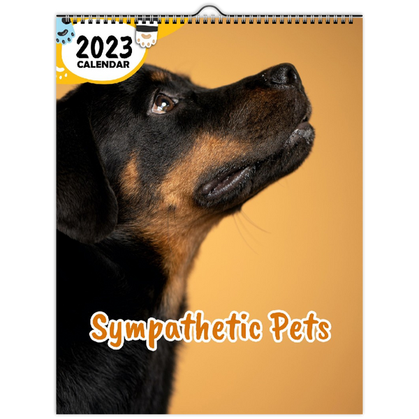 Sympathetic Pets: 2023 Wall Calendar